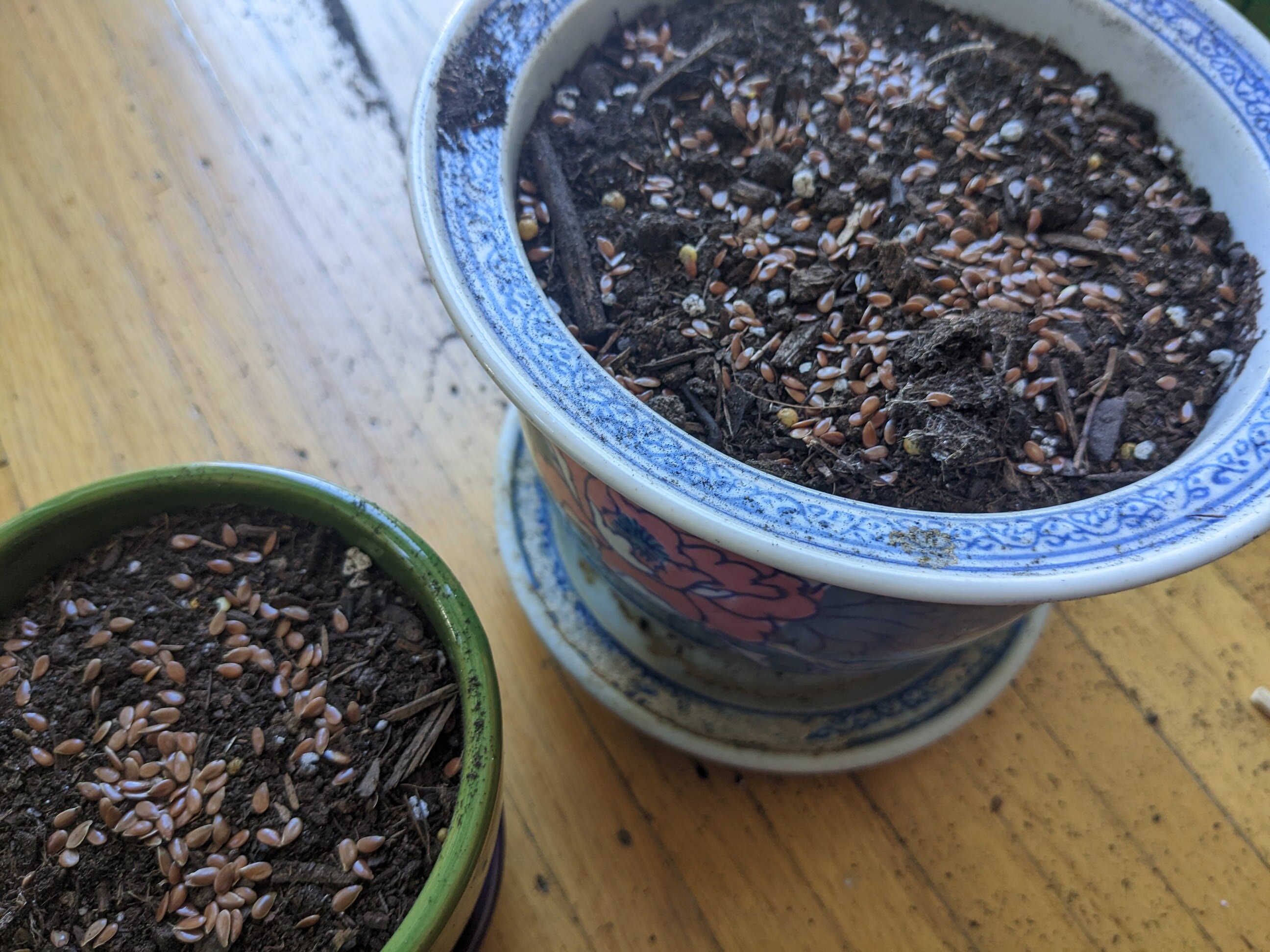 Two plant pots, each full of soil with many seeds sprinkled atop.